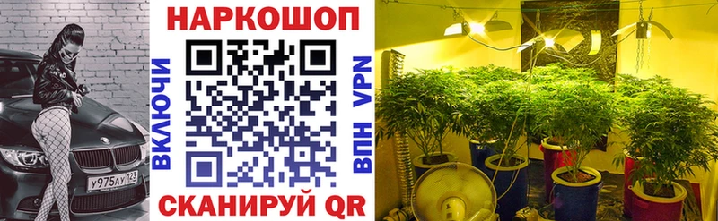 Наркошоп купить Бошки Шишки  APVP  Амфетамин  МЕФ  ГАШ  Кукмор