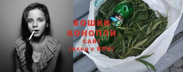 ПСИЛОЦИБИНОВЫЕ ГРИБЫ Верея