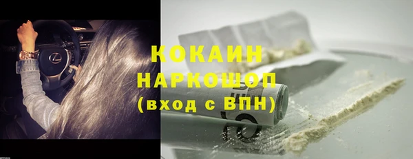 ПСИЛОЦИБИНОВЫЕ ГРИБЫ Верея