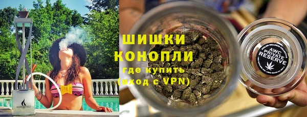 ПСИЛОЦИБИНОВЫЕ ГРИБЫ Верея