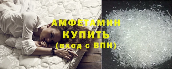 ПСИЛОЦИБИНОВЫЕ ГРИБЫ Верея