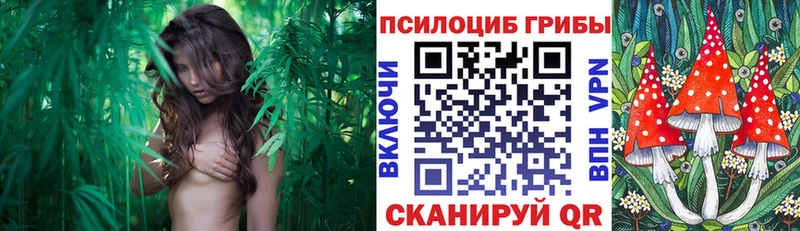 Псилоцибиновые грибы мухоморы  Купить закладки  Кукмор 